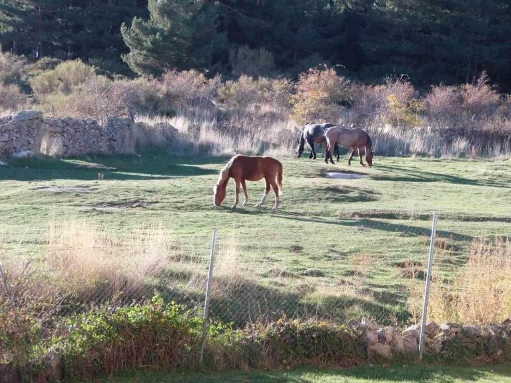 Casa Iona Chalet Adosado Con Vistas A La Montana Navarredonda de Gredos Εξωτερικό φωτογραφία